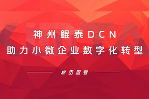 凯发k8国际DCN助力小微企业数字化转型
